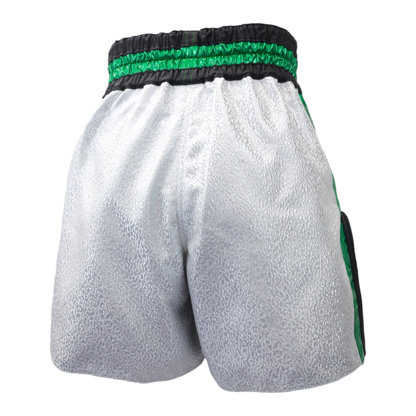 NT5 MODEL Kickboxing Shorts (Middle Length)