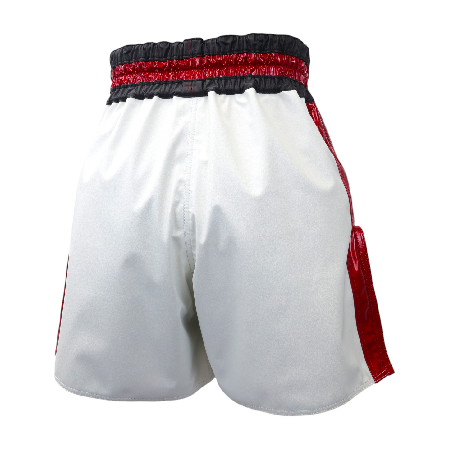 NT4 MODEL Kickboxing Shorts (Middle Length)